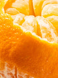 Citrus Crush by Illume - Pura Home Refill