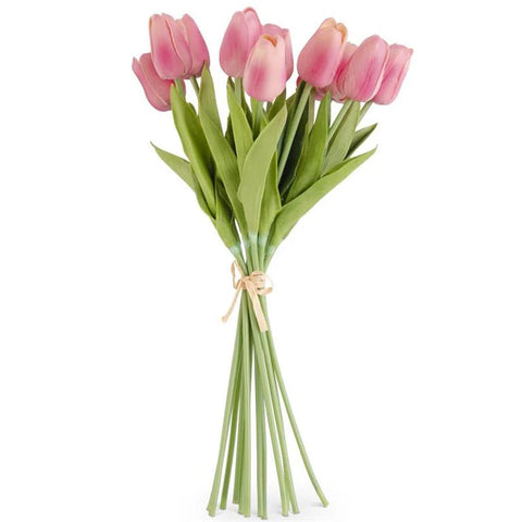 Mini Tulip Bundle - Mauve