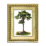 Gilded Beaded Frame