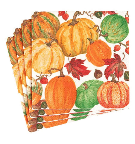 Caspari-Pumpkin Field White Napkin Cocktail