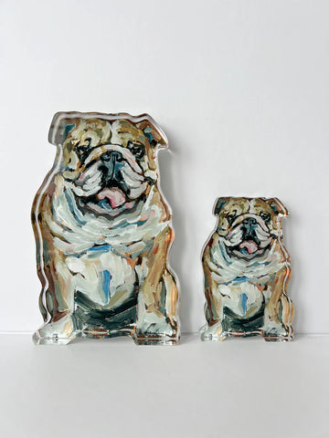 Bulldog WHITE CHELSEA MCSHANE (2 SIZES)