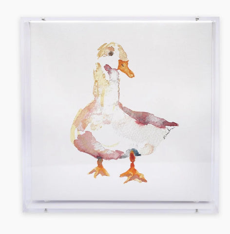 Duck Acrylic Shadow Box Print- anne neilson