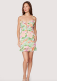 PAINTERLY LOVE MINI DRESS- LOST AND WANDER