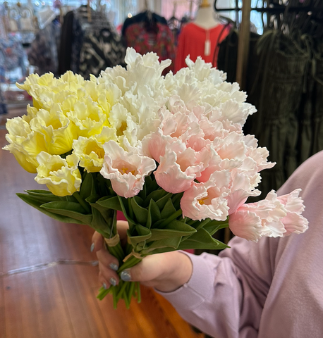 parrot Tulips- Multi colors