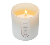 Coconut Teakwood 12oz Candle | White-Cue