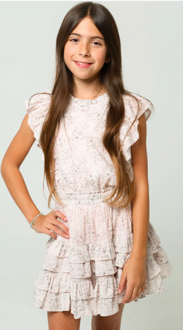 Summer Loving-Gustavia Dress Pink Mini Roses