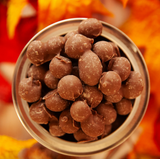 Bear Food- 10oz Double Dip Milk Chocolate Gourmet Peanuts