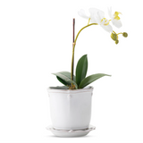 Juliska- Berry & Thread  5" Planter - Whitewash