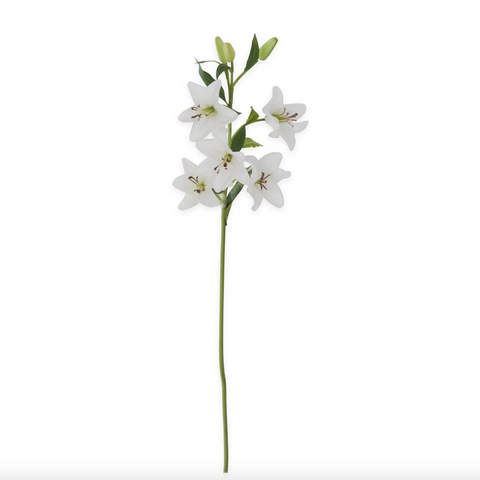 K&K- 30 Inch White Real Touch Lily 5 Blooms & 3 Buds Stem