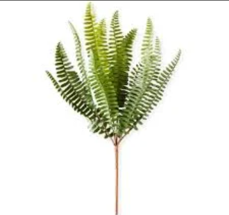 K&K-14.5 Inch Fish Bone Fern Stem