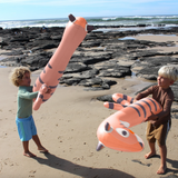 Sunny Life- Kids Inflatable Noodle Tino the Tiger Clay Set of 2