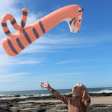 Sunny Life- Kids Inflatable Noodle Tino the Tiger Clay Set of 2