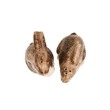 Juliska- Clever Creatures  Bunny Salt and Pepper Shakers Set/2pc