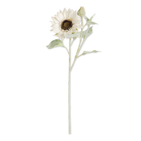 18" White Bloom And Blossom Cream Sunflower W/Flocked Stem