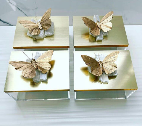Acrylic Butterfly Box